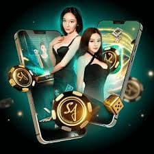 556bet login