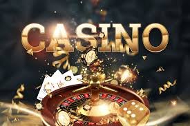 556bet login