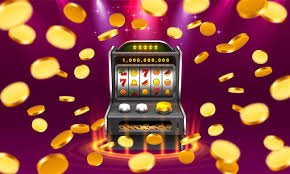 556bet login
